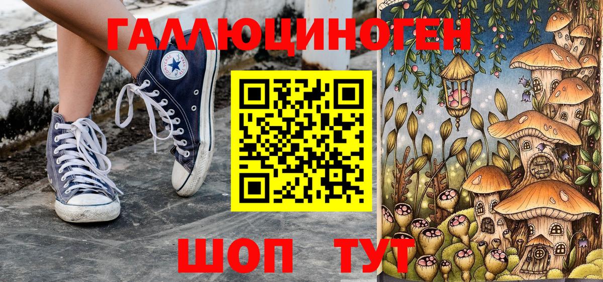 Галлюциногенные грибы прущие грибы Зима