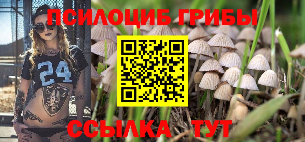 Псилоцибиновые грибы мухоморы  Псилоцибиновые грибы ЛСД  Вход с VPN  Зима 